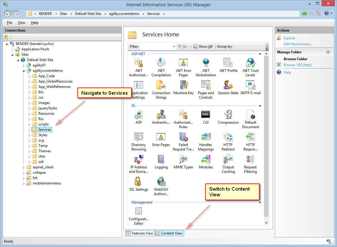 Agilityservices basic iis 01.png