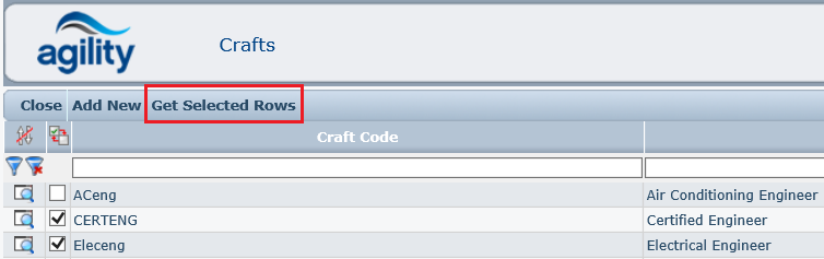 File:Get Selected Rows.png