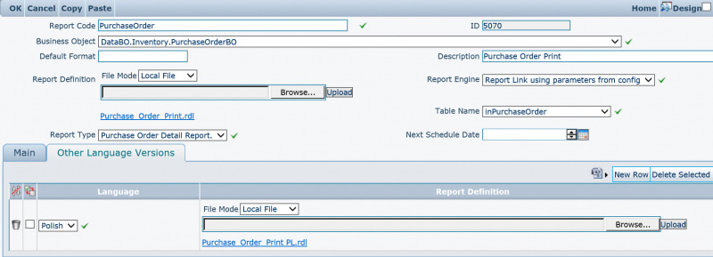 RepDefDetsyReportDef Language.jpg