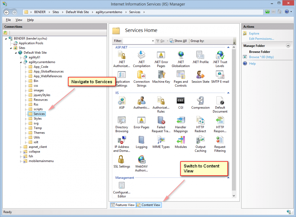 Agilityservices basic iis 01.png